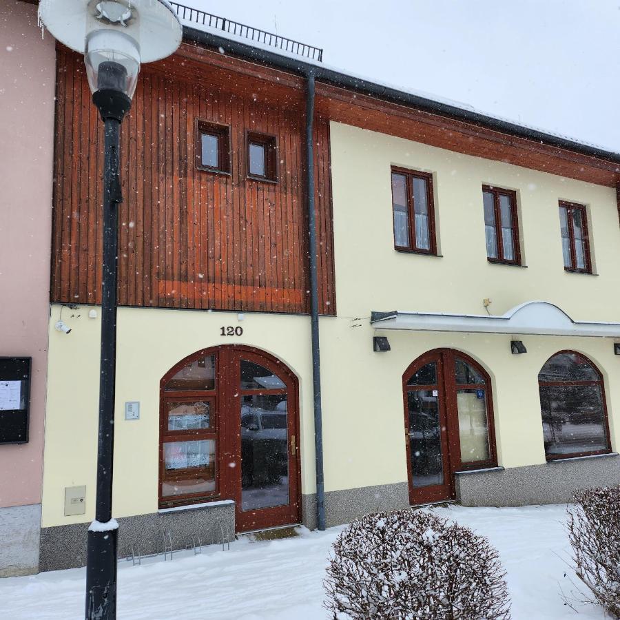 Ubytovani U Maxe Lipno nad Vltavou Eksteriør billede